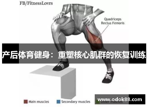 产后体育健身：重塑核心肌群的恢复训练